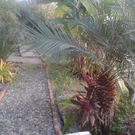 Maremonti Bed & Breakfast Puerto Lopez Exterior photo