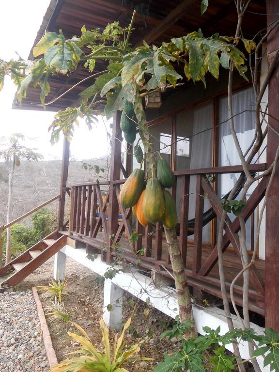 Maremonti Bed & Breakfast Hotel Puerto Lopez Exterior photo