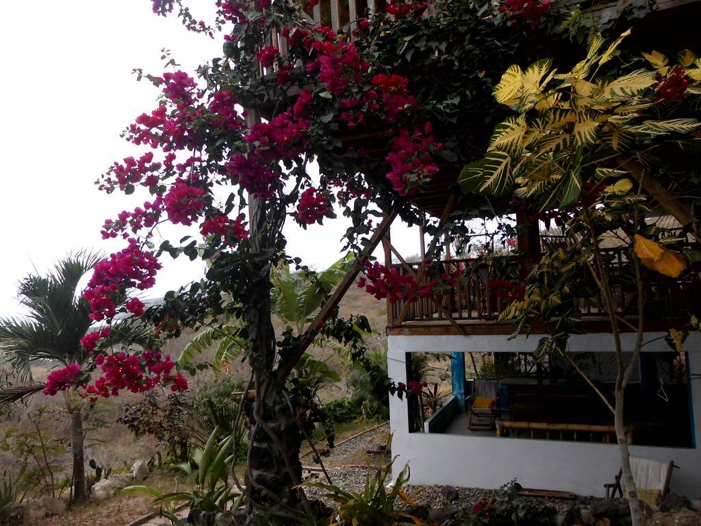 Maremonti Bed & Breakfast Puerto Lopez Exterior photo