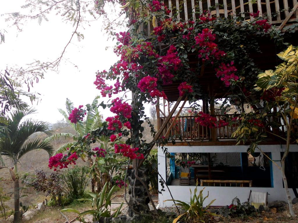 Maremonti Bed & Breakfast Puerto Lopez Exterior photo