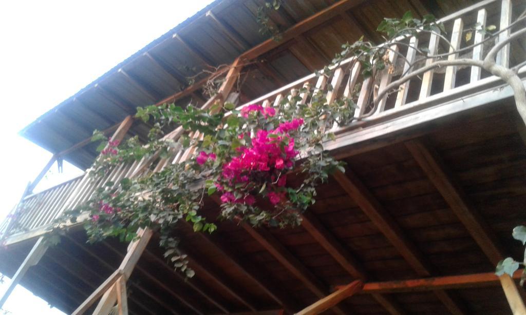 Maremonti Bed & Breakfast Puerto Lopez Exterior photo